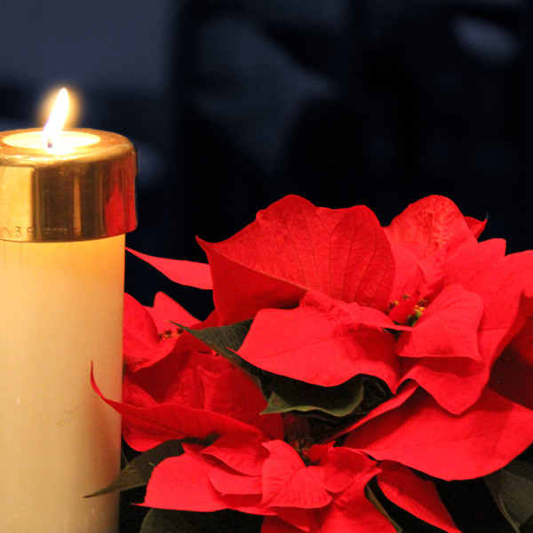 CCUP_Advent_Homepage-edit