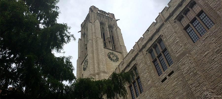University-of-Toledo-JAM